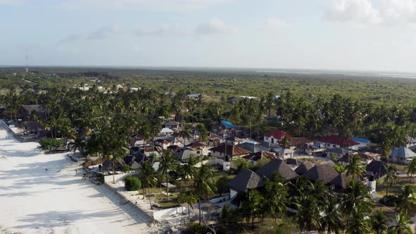 Flying a Drone Near the Shoreline with a White Sandy Beach with Palm Trees alt