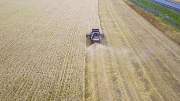 Combines Harvest Sunflower During the Day. Aerial Shoot. alt
