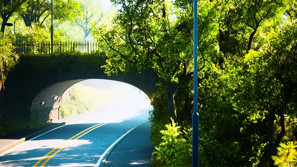 Arch Bridge with Living Bush Branches in Park alt