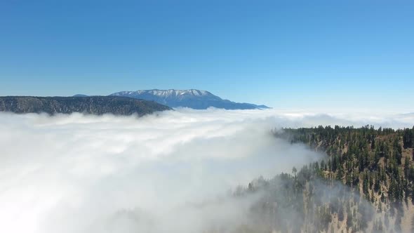 Bird's eye view above the clouds lying on the surface of the forest in California, USA alt