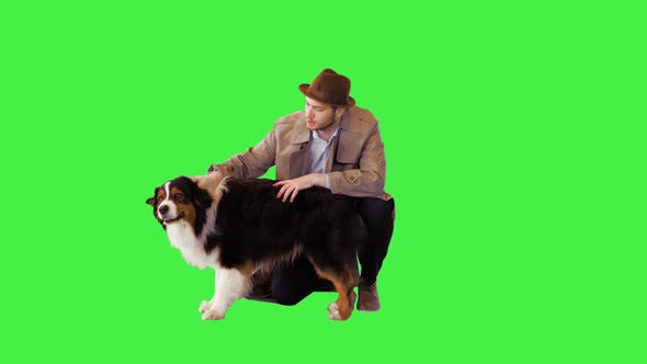 Australian Shepherd Hugging with His Owner on a Green Screen Chroma Key