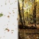 Autumn Leaves - VideoHive Item for Sale