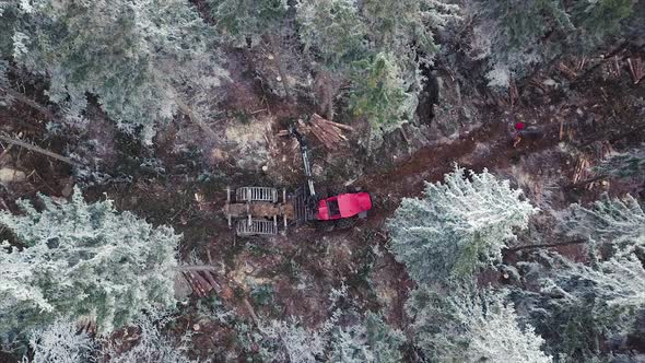 Wood Processing Factory. Aerial shot, Forest Logging Machinery Equipment