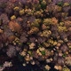 Autumn Treetops Aerial - VideoHive Item for Sale