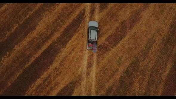 Cinematic Aero View a Pickup Truck in a Wheat Field