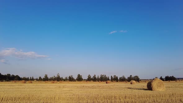 View of a Field with Cut Grain
