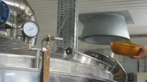 Hops Are Added To a Beer Tank. Working In The Beer Production