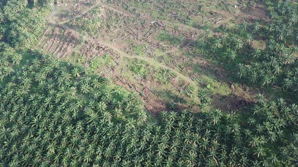 Aerial view clear land for plantation at Malaysia alt