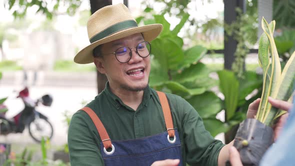 4K Asian man plants shop owner helping the customer choosing potted plants in store alt