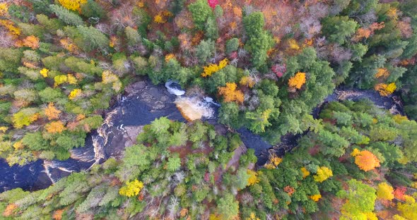 Aerial Looking Down at River Gorge Surrounded By Forest alt