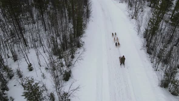 Drone Aerial View of Dogsledding Handler with Team of Trained Husky Dogs Mountain Pass Husky Dog alt