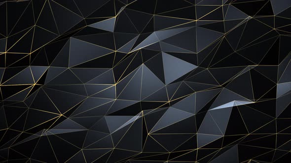 Abstract Polygonal black gold Golden Mesh contour . alt