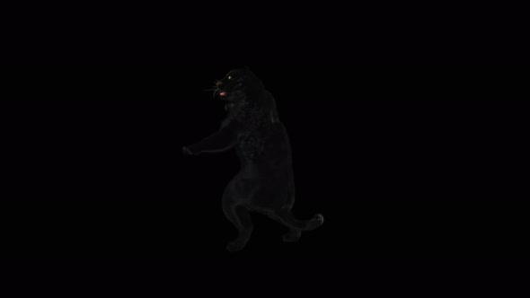 80 Panther Standing Magic Attack 4K alt