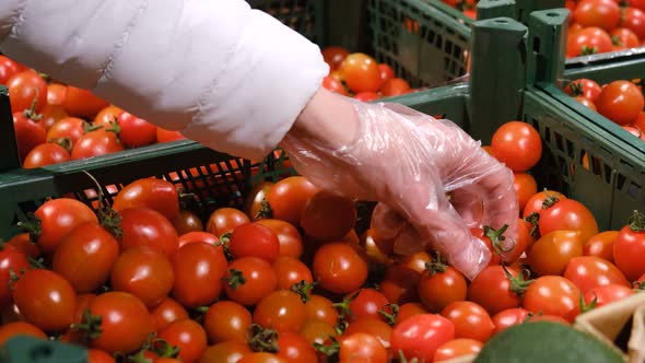 Woman's Hands Chooses Cherry Tomatoes in the Supermarket alt