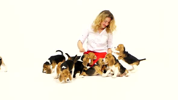 Woman with Cute Beagle Puppy on a White on Studio. Slow Motion alt