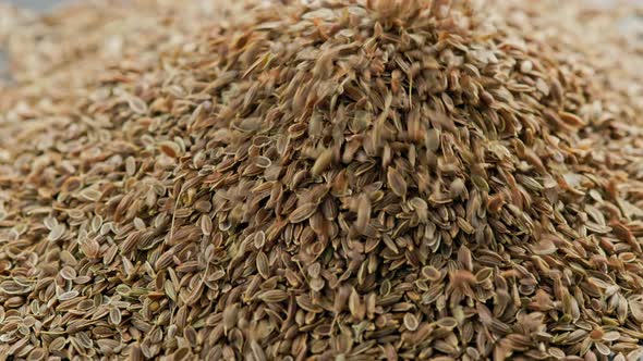 Dry Dill Seeds Pouring on Pile Rotating Closeup with Slomo alt