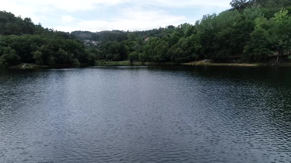 Flight Along Riverbed in the Forest alt