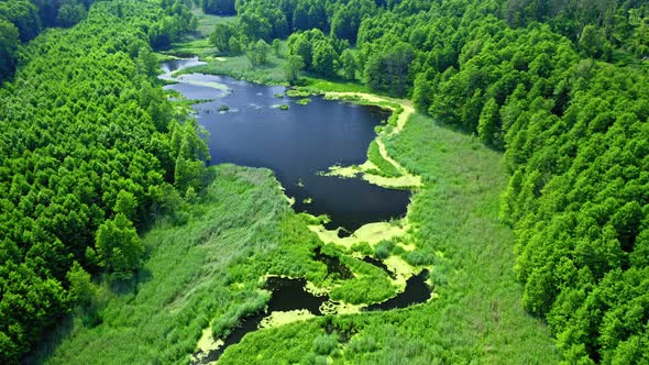 Aerial view of green river in summer, Poland alt