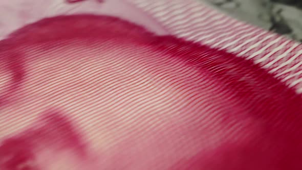 Foreign currency money exchange concept. Many banknotes of different nations. alt