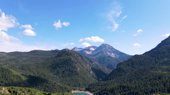 Pull back between trees with a view of the forest, mountains and lake alt