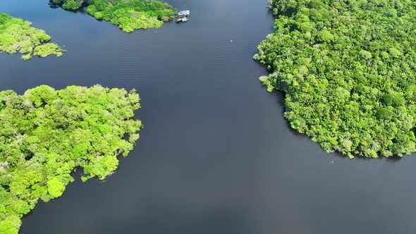 Stunning landscape of Amazon Forest at Amazonas State Brazil. alt