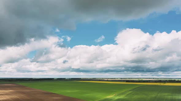 Countryside Rural Field Landscape With Young Wheat Sprouts In Spring Summer Cloudy Day alt