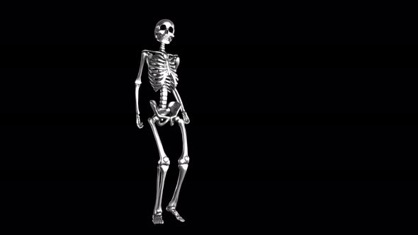 4K Silver dancing skeleton with alpha