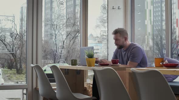 Freelancer Man Uses Laptop in Coffee Shop