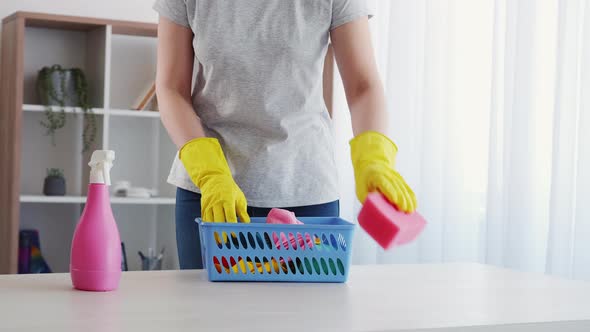 Cleaner Woman Housework Routine Detergent Tools alt