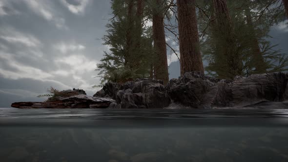 Half Underwater in Northern Sea with Rocks alt