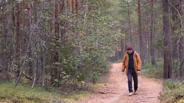 Caucasian Man Wearing Backpack Walking in the Coniferous Forest