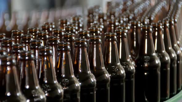 Technological Line for Bottling of Beer in Brewery, Empty Bottles Are Moving and Transporting