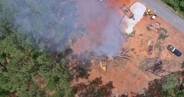 Forests are Uprooted During the Process of Developing Land for Construction and Then Burned to Make alt