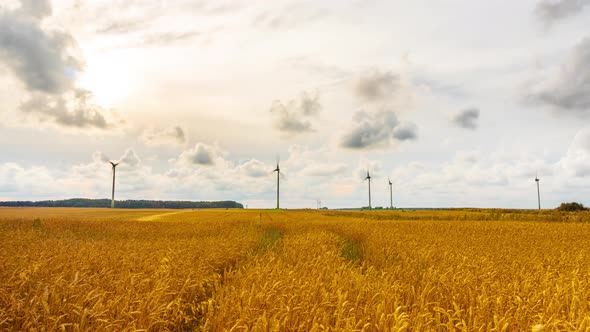 Wheat field and wind generators, time-lapse with crane alt