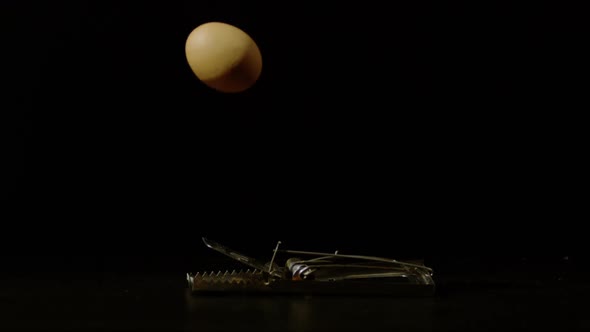 Egg falling into a mousetrap, Ultra Slow Motion alt