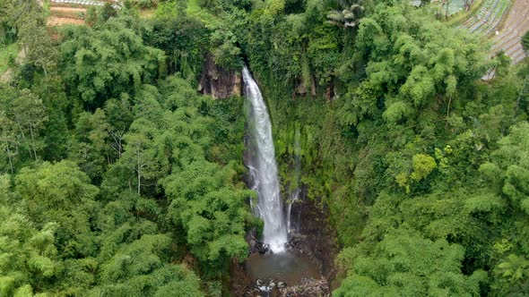 Spectacular Curug Silawe waterfall in tropical jungle in Magelang, Indonesia alt