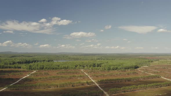 Establishing aerial of blueberry crop in fields overlooking vast expanse of nature stretching to hor alt