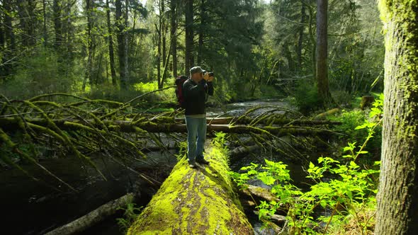 Backpacker taking photos in forest, Oregon alt