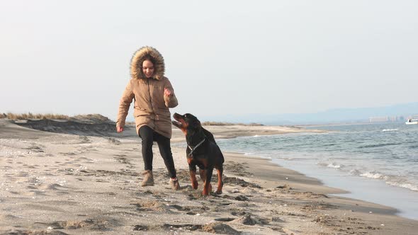 A Girl in a Jacket Runs and Fools Around on the Beach By the Sea with a Rottweiler Dog alt