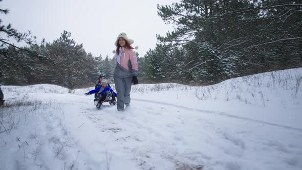 Active Family Happy Mom Has Fun Sledding Her Sons in the Snowy Forest During Winter Holidays