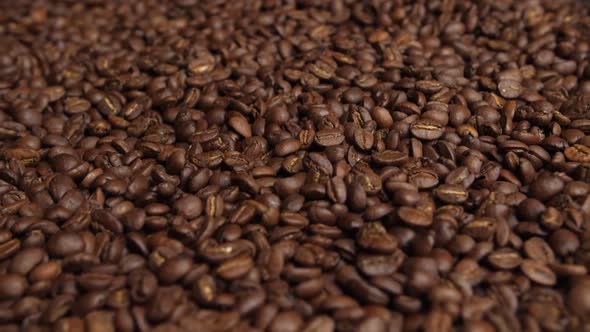 Coffee Beans alt