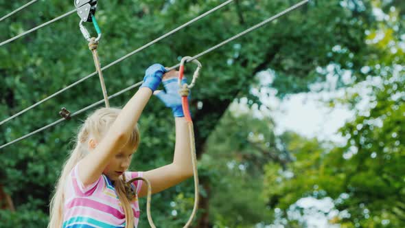 The Child Uses Insurance Ropes Climbs the Ropes Among the Tall Trees alt