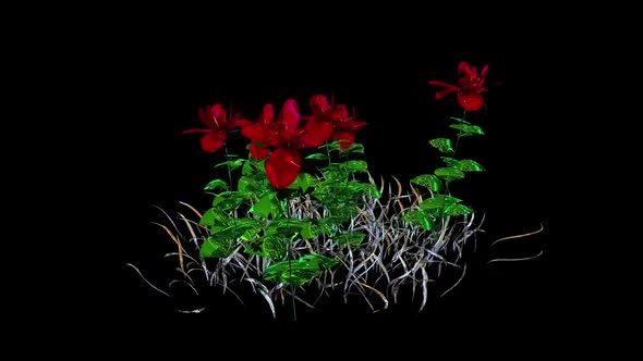 Wide Leaf Botanical 3D Rendering alt