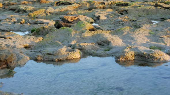 Rock pools on an Australian beach. Green seaweed on the exposed rocks. PAN UP SHOT to reveal the oce alt