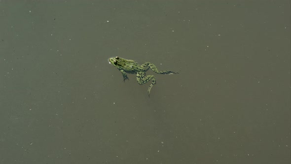 Стул плавает на поверхности воды