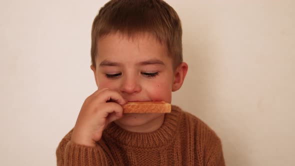 Preschool boy eating toasted bread. Gluten intolerance by children.