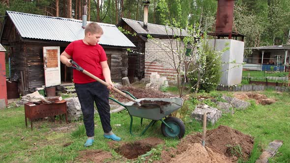 A Boy From a Wheelbarrow with a Shovel Shifts Manure or Compost Into a Hole alt