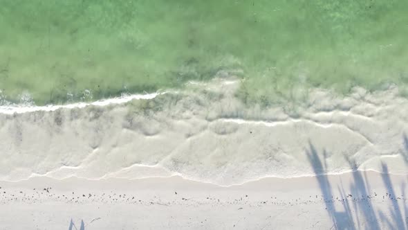 Vertical Video Boats in the Ocean Near the Coast of Zanzibar Tanzania Aerial View alt