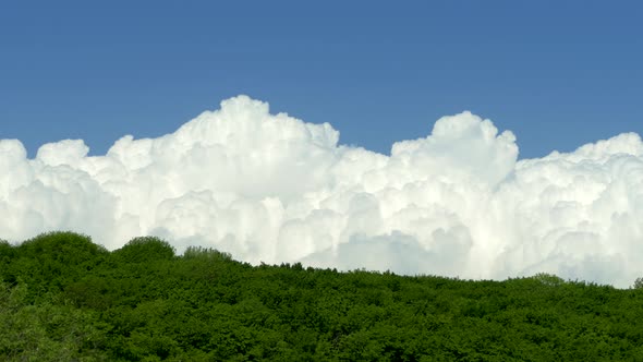 White Bubbling Clouds Fly Over a Mountain Forest