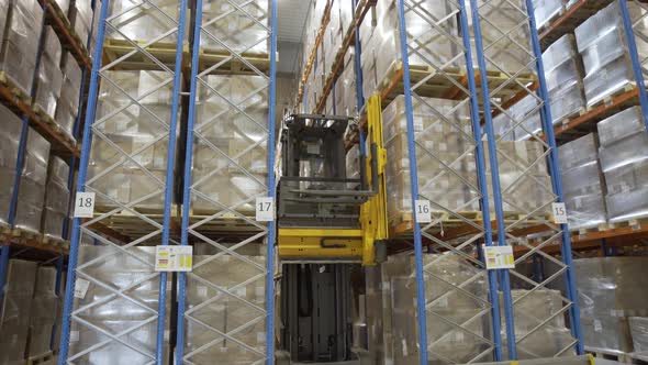 Warehouse Forklift Drivers Working